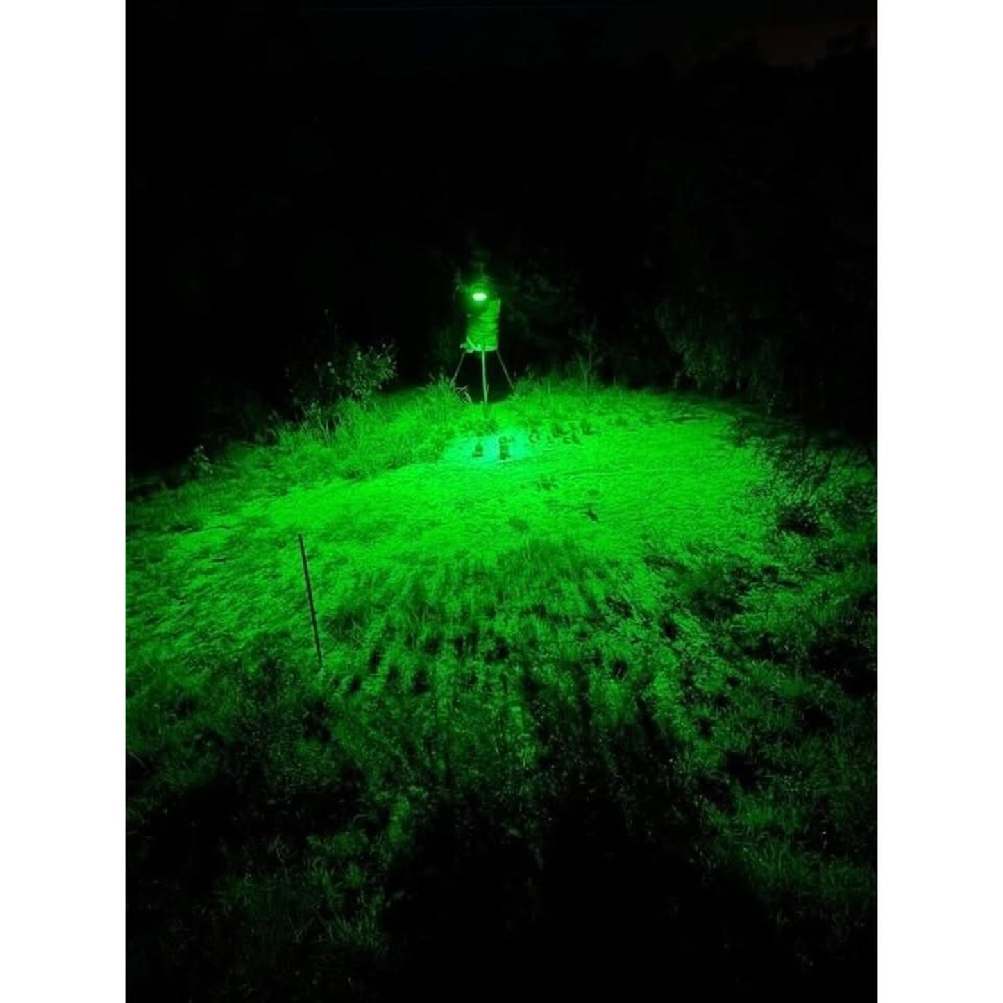 Hog Hunting Light Green Solar Light for Hunting Hogs on Feeders RGV