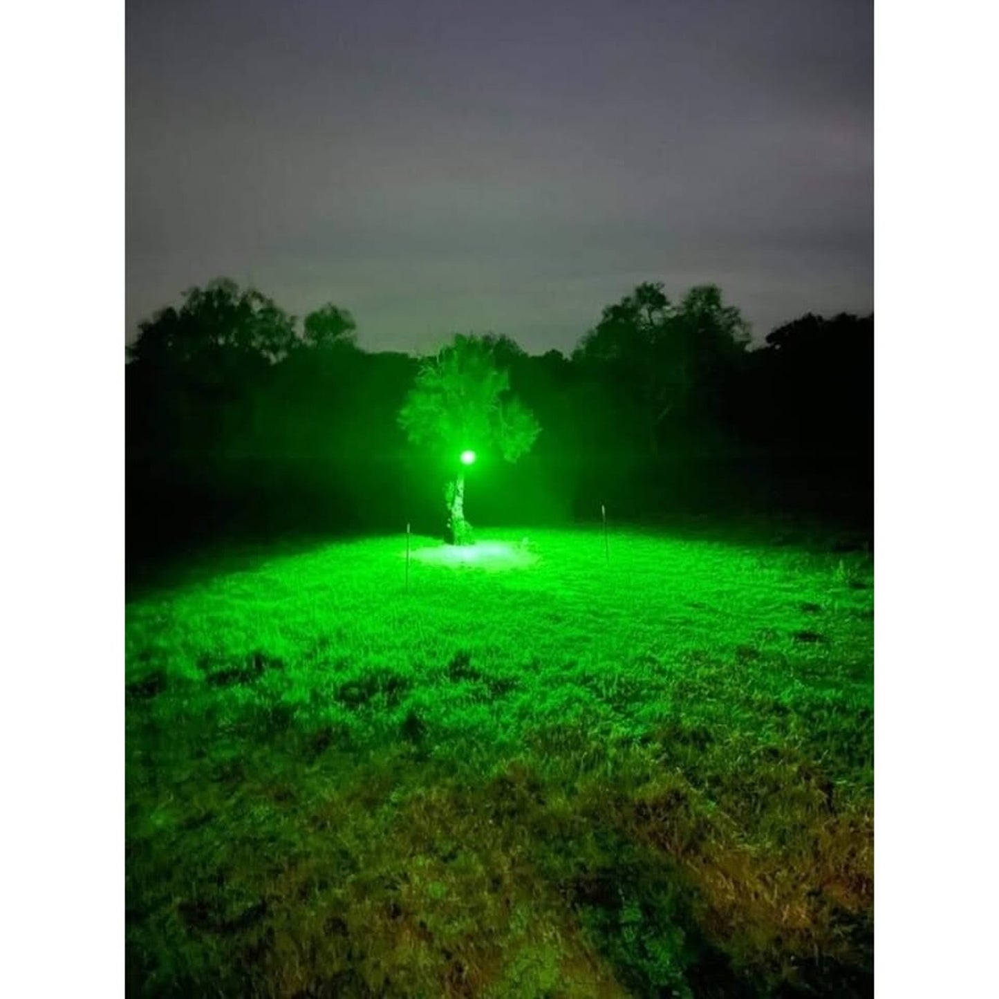 Hog Hunting Light Green Solar Light for Hunting Hogs on Feeders RGV